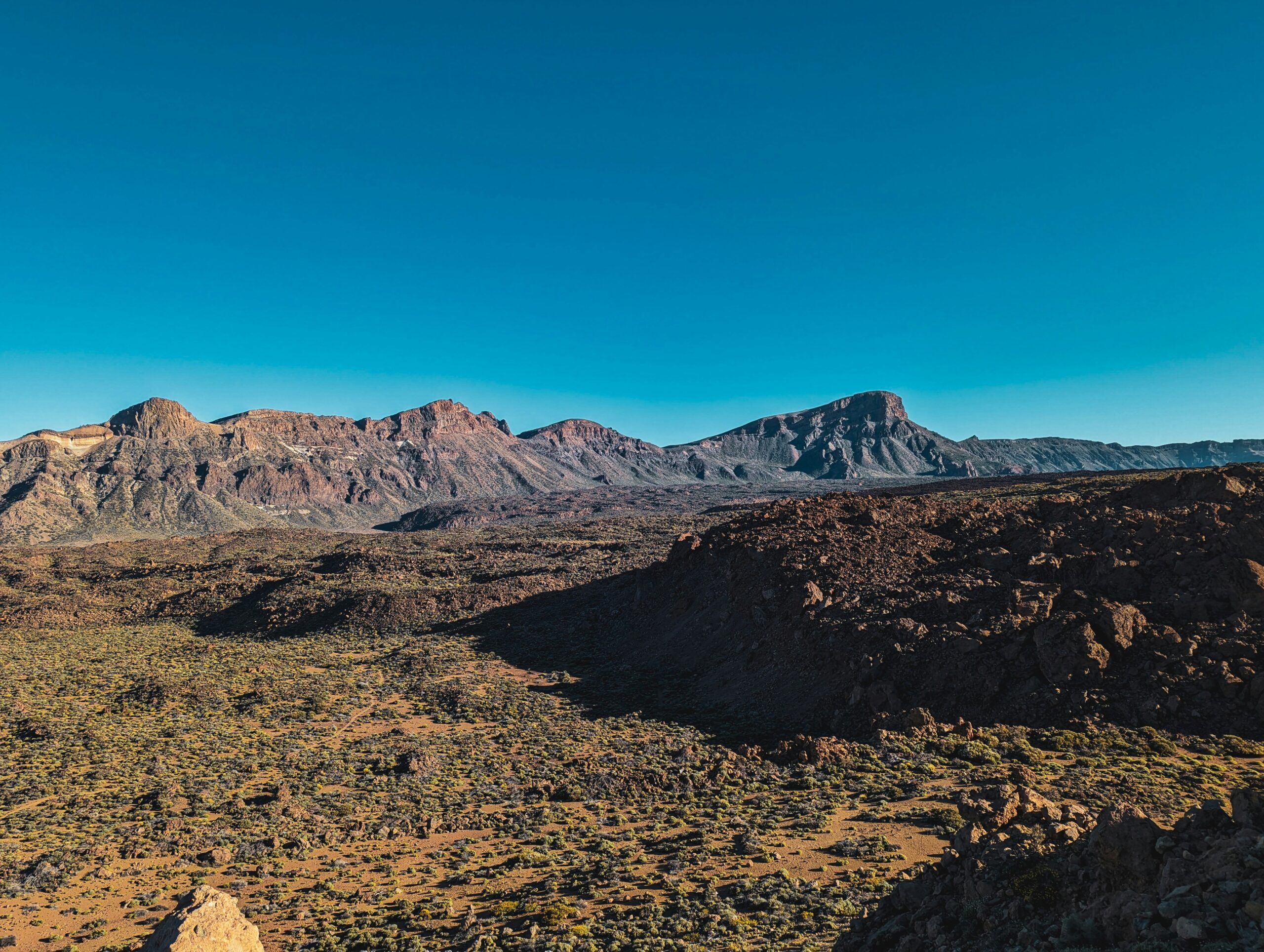 Taoro Coffee - Image 3